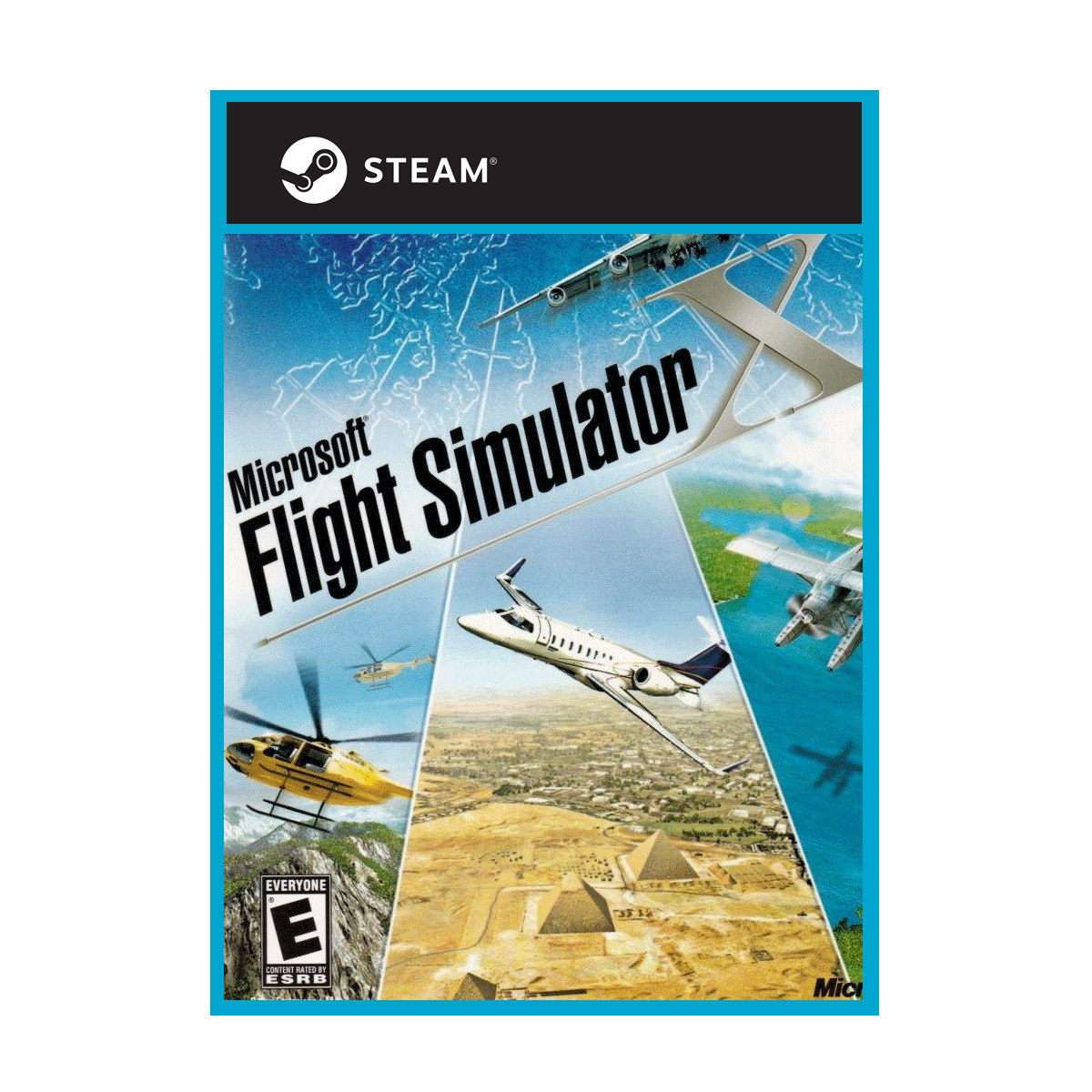 The Hostile Takeover of a Microsoft Flight Simulator Server